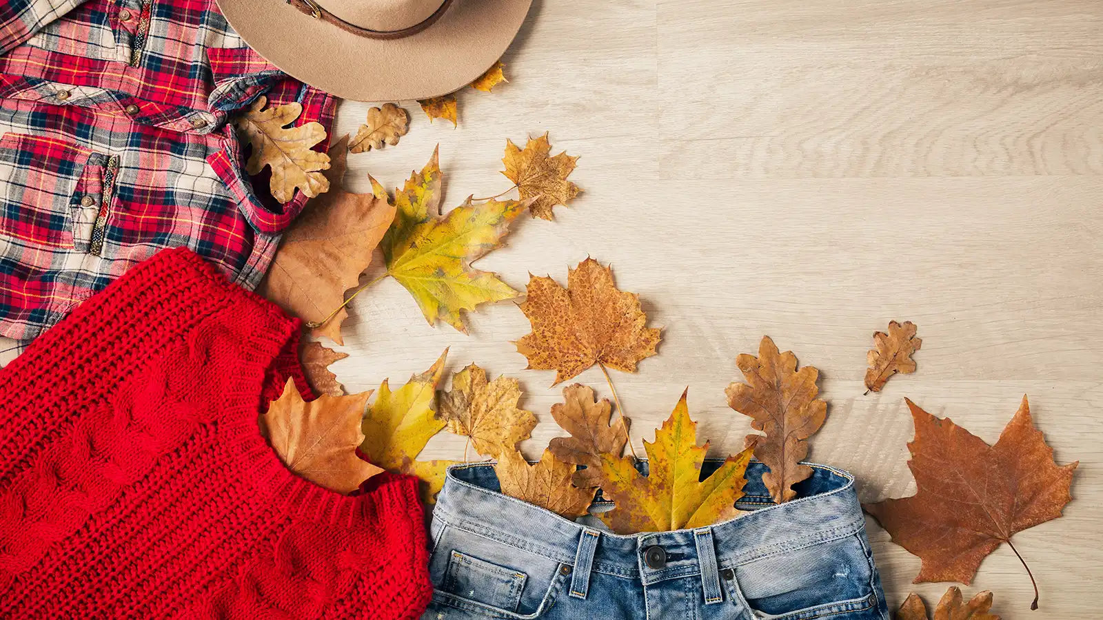 Les articles seconde main qui cartonnent en automne : Guide pratique pour revendeurs Image