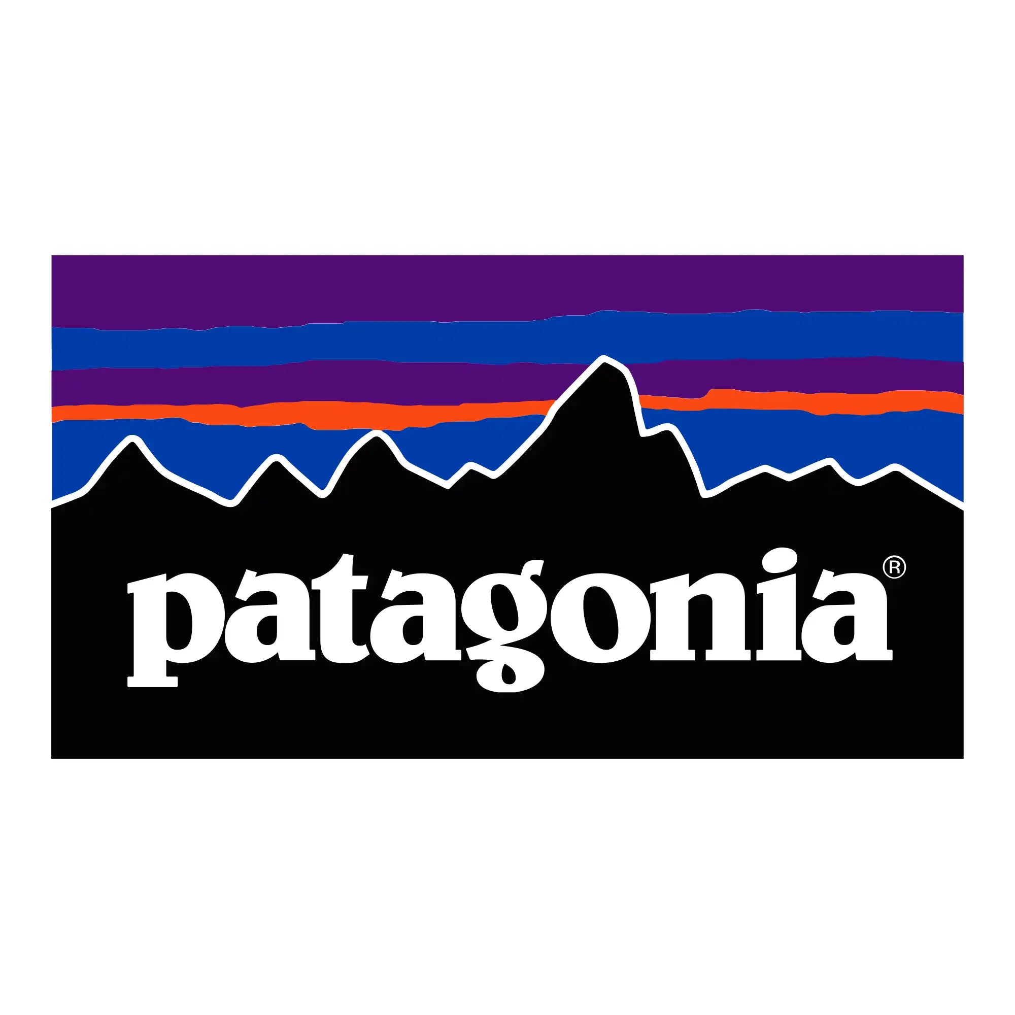 Vêtements Patagonia vintage — Sélection outdoor en lots pour revendeurs