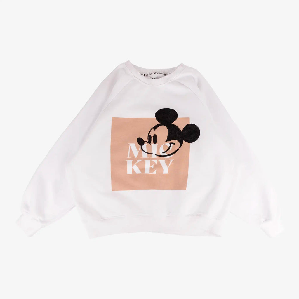 Box de 20 sweat-shirts Disney-DISNEY-MIX-5-TAGZ