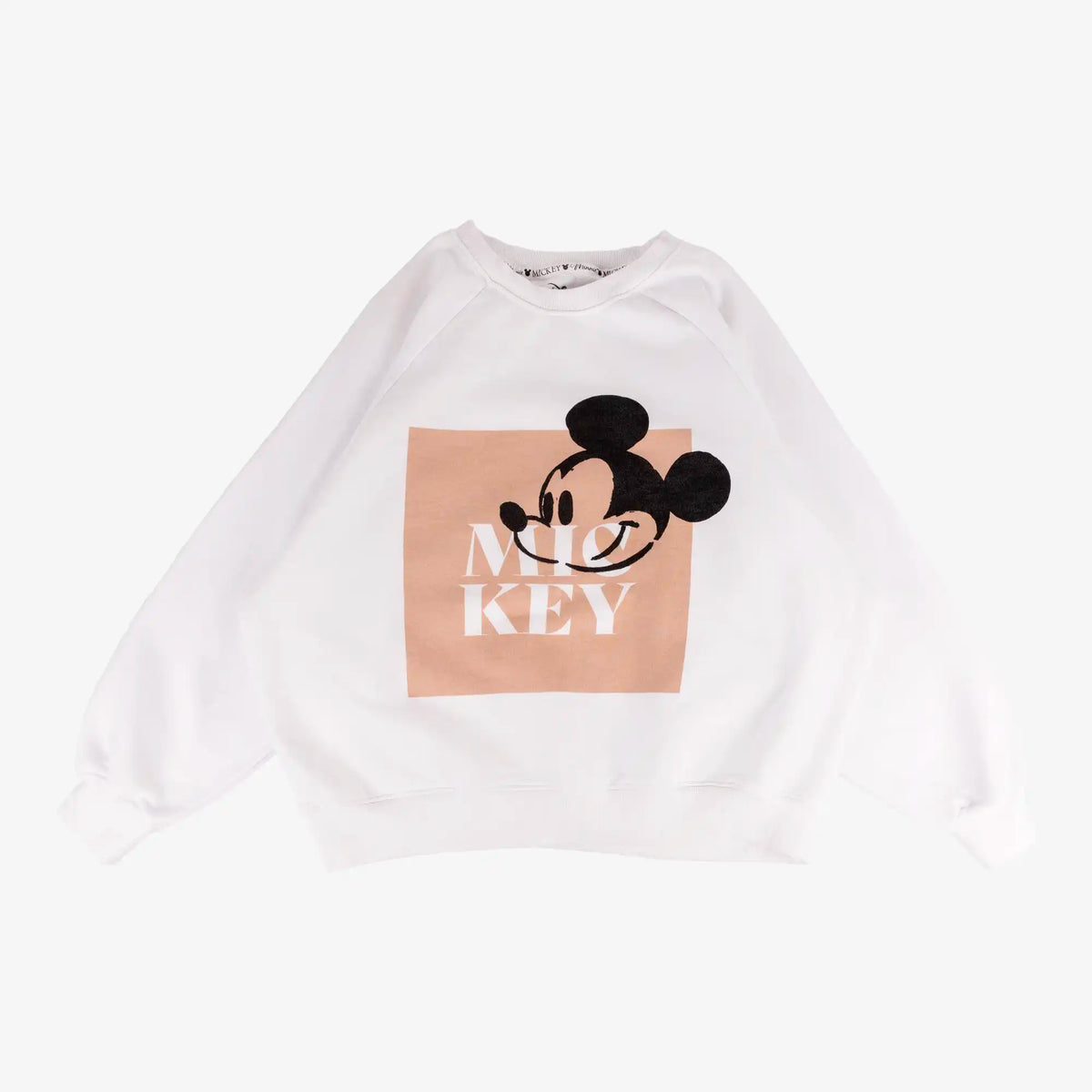 Box de 20 sweat-shirts Disney-DISNEY-MIX-5-TAGZ