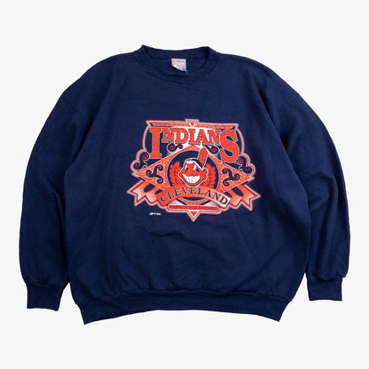 Box de 10 sweats ProSport Made In USA