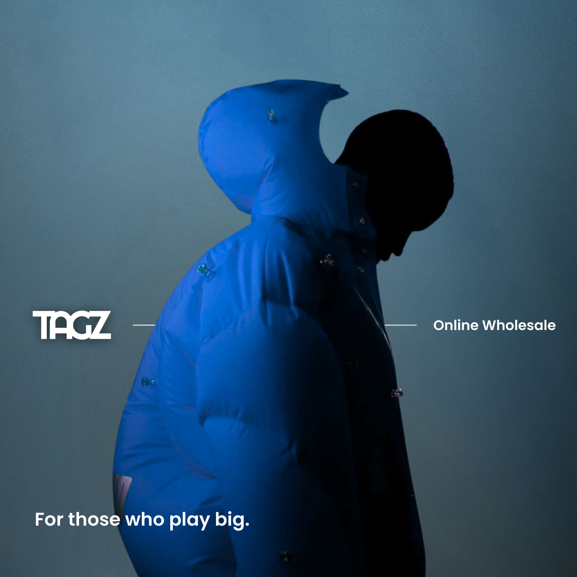 À propos de TAGZ